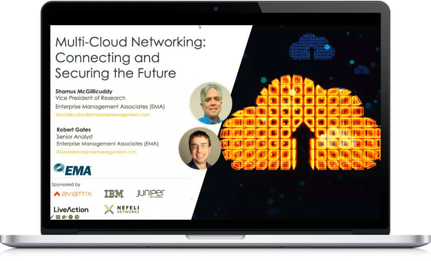 Multi-Cloud Networking: Connecting and Securing the Future