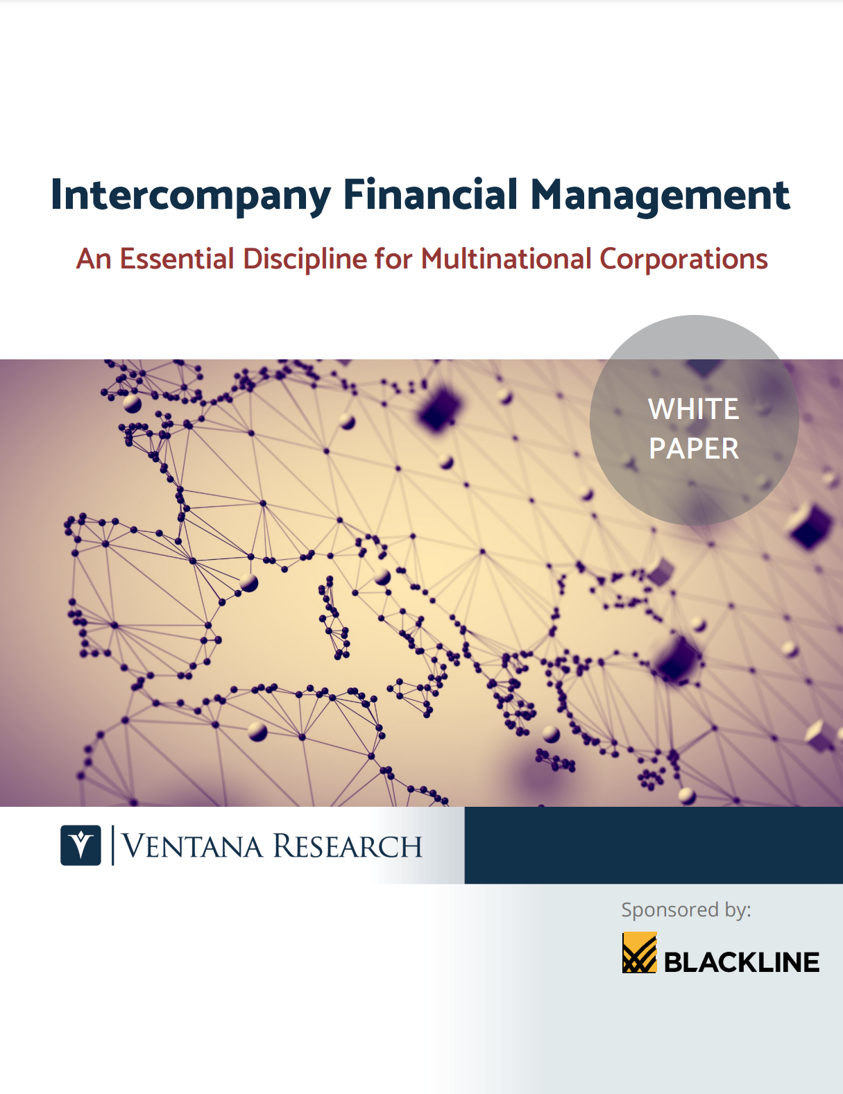 Intercompany Financial Management: An Essential Discipline for Multinational Corporations