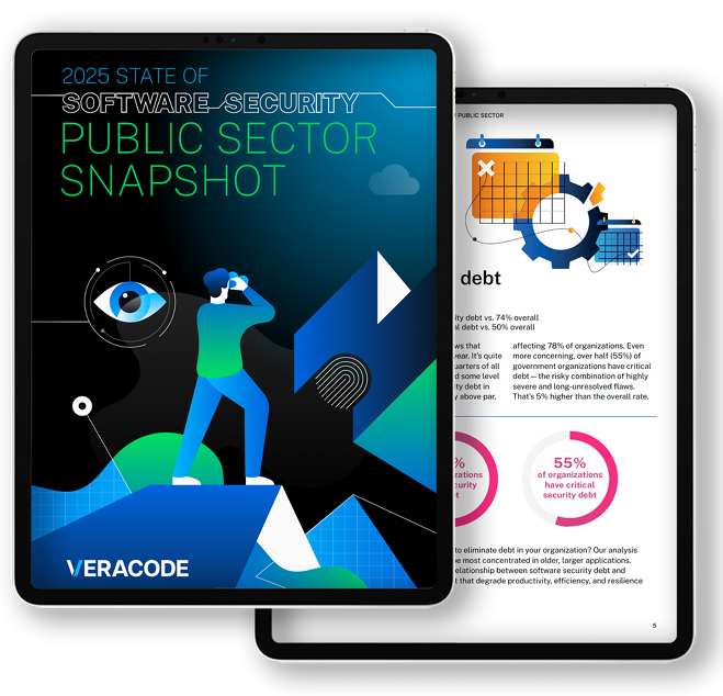 2025 State of Software Security: PublicSector Snapshot