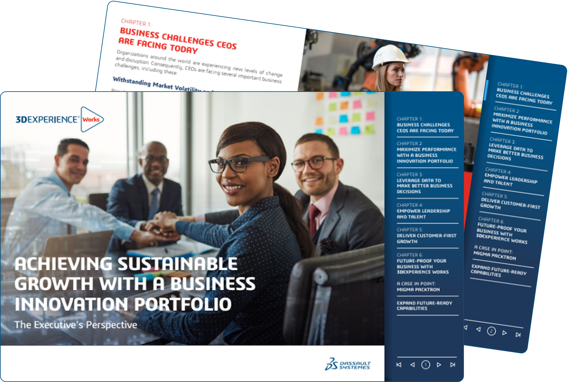 Achieving Sustainable Growth with a Business Innovation Portfolio